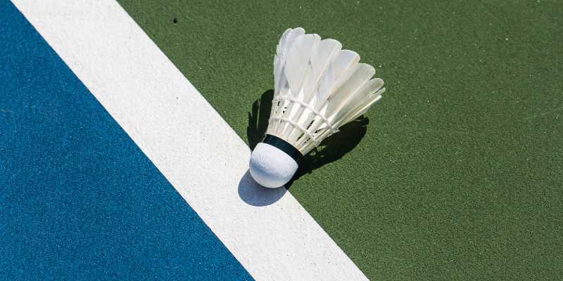 Introduction to badminton betting